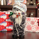 Image for article titled Demand great presents this year with The A.V Club’s 2016 gift guide